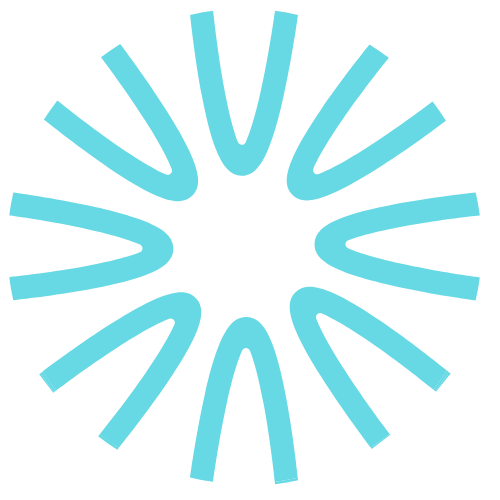 Soll Favicon